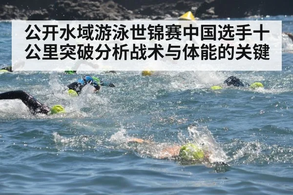 open water swimming race